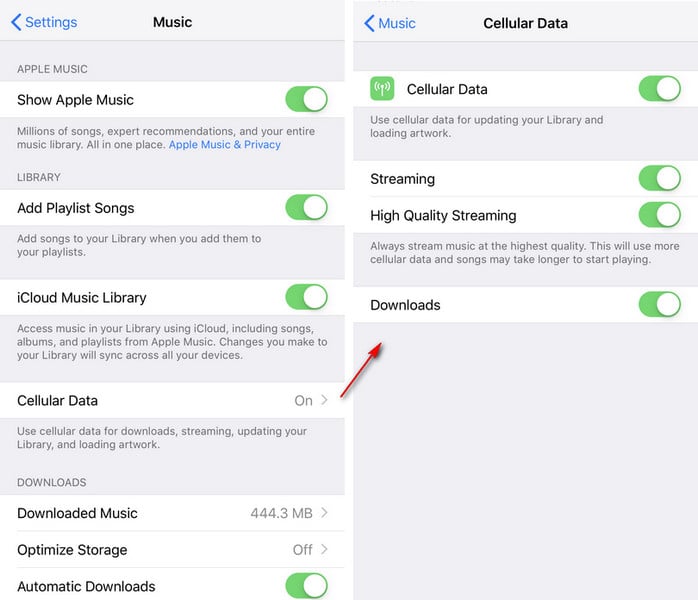 Check Cellular Data for Apple Music