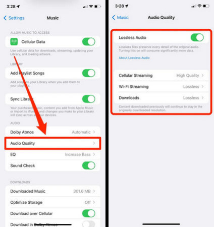 Turn on Lossless Audio on iPhone