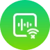 play spotify music offline