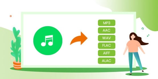 download spotify music converter