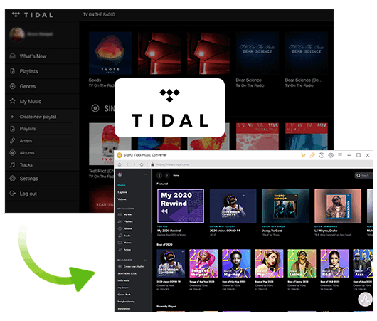 Tidal Music Converter