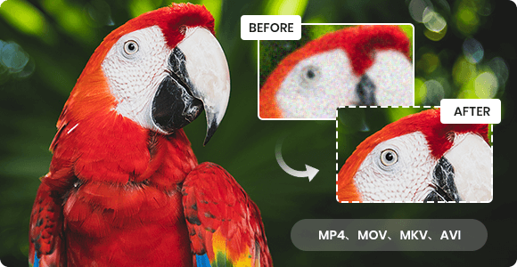 avclabs video enhancer  