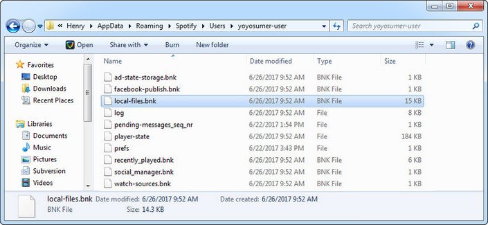 delete local-files cache in Spotify