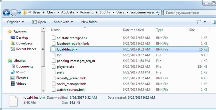 delete local-files cache in Spotify