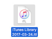 iTunes Library Copy