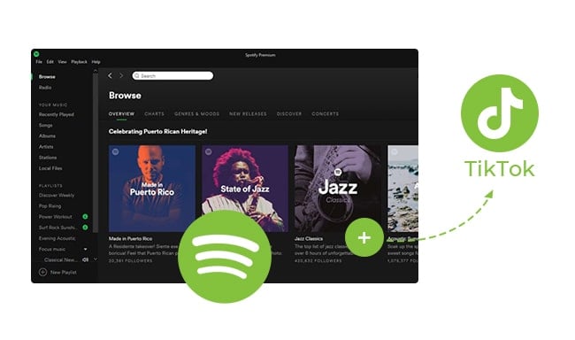 ✓ Spotify