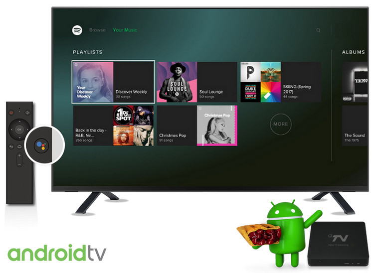 Riproduci Spotify Music su Android TV