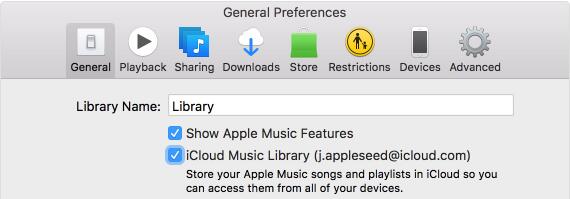 Attiva la libreria iCloud Music sul computer