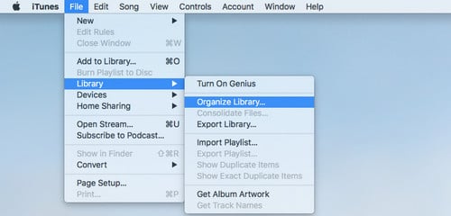 Organize library