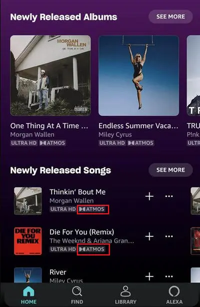 Find Dolby Atmos Badge 