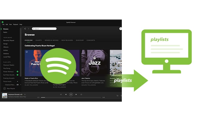 esporta le playlist di Spotify sul computer locale