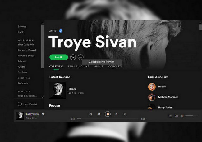 Make Collaborative Playlist on Spotify