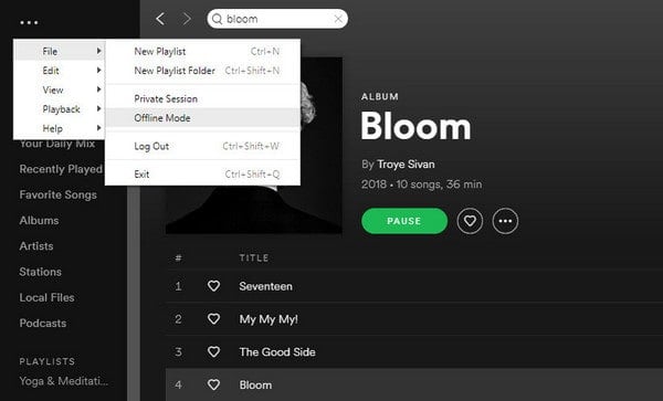 Modalità offline di Spotify su PC