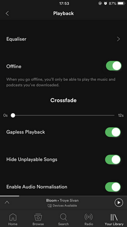 Modalità offline di Spotify