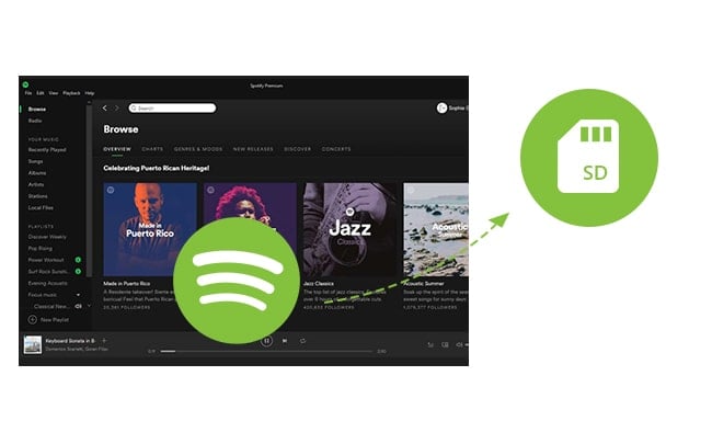 Salva Spotify su scheda SD