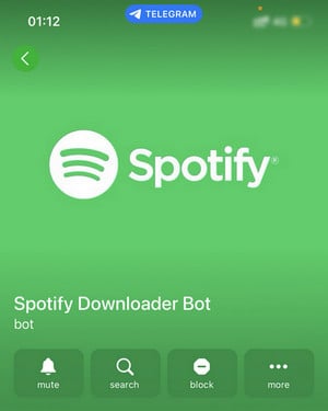 telegram bot for spotify features