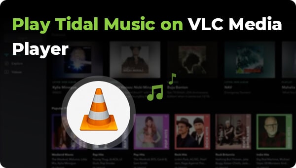 play tidal music through vlc media player