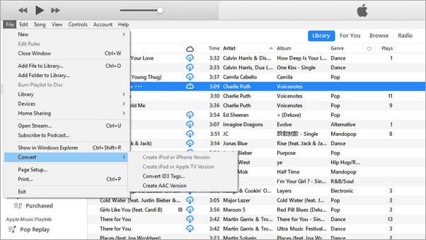Creae AAC version of Spotify music