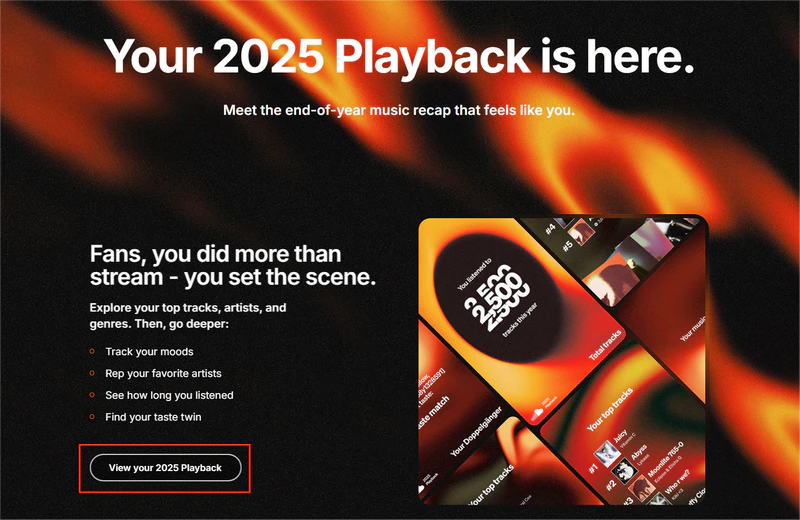 view your playback