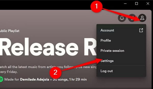 spotify settings