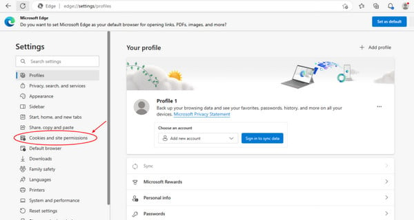 microsoft edge cookies and site permissions