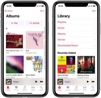 apple music library