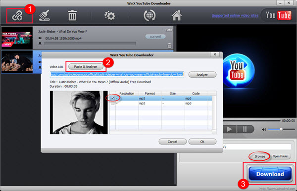 winx youtube downloader