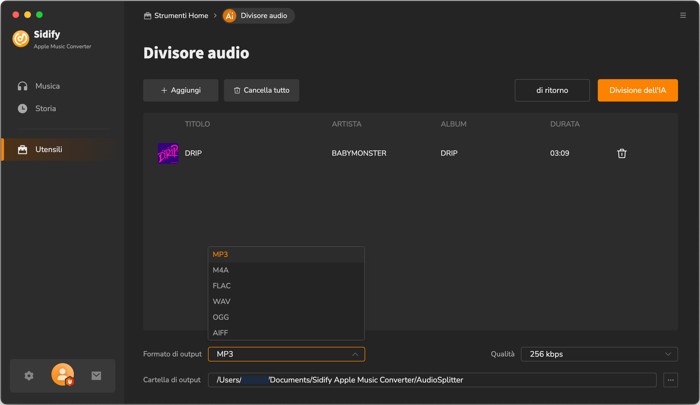 Divisore audio AI