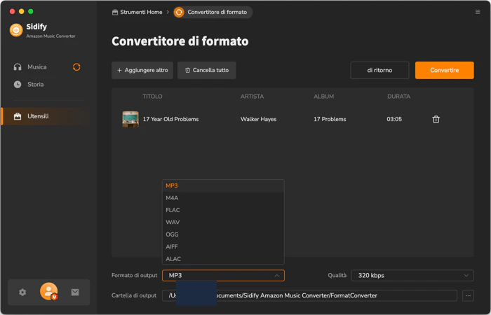  Convertitore di formato